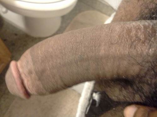 Image #2766